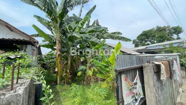 image TANAH DIJUAL CIBINONG 127M2 (4)