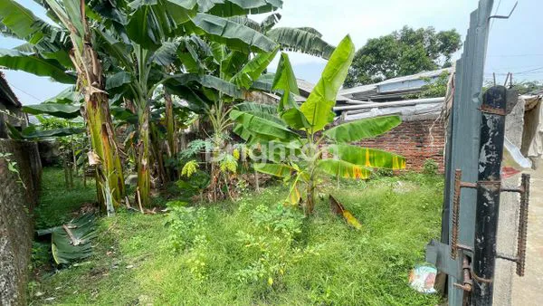 image TANAH DIJUAL CIBINONG 127M2 (2)
