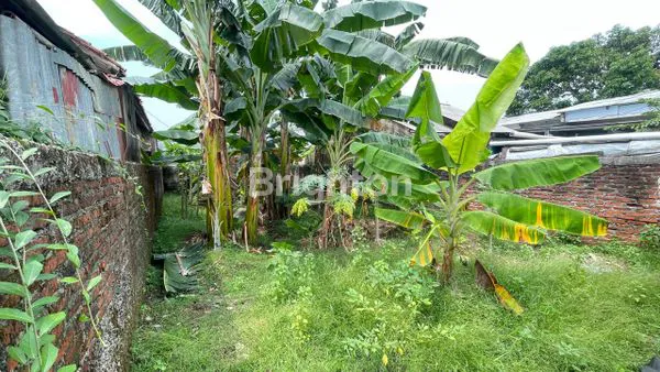 image TANAH DIJUAL CIBINONG 127M2 (3)