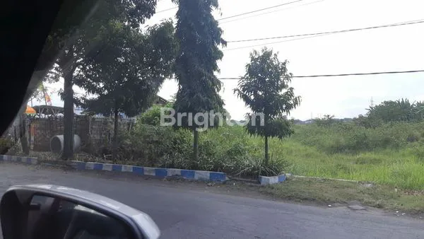 image TANAH MURAH DI RAYA SIDOWAYAH BANGIL PASURUAN, STRATEGIS, NOL JALAN RAYA, COCOK UTK COMMERCIAL, PABRIK, GUDANG.  (1)
