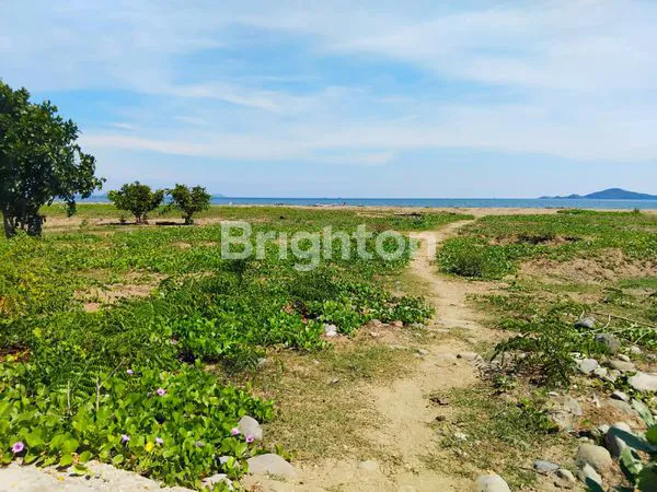 image JARANG ADA !!!!!!LOKASI PRIME DI LABUAN BAJO, BEACH FRONT DAN VIEW GUNUNG (4)