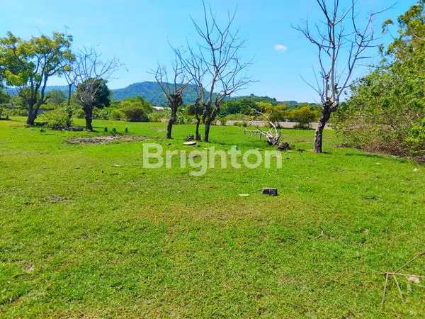 image JARANG ADA !!!!!!LOKASI PRIME DI LABUAN BAJO, BEACH FRONT DAN VIEW GUNUNG (7)