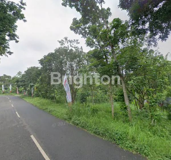 image TANAH DEKAT AGROWISATA BHAKTI ALAM DI NGEMBAL, KECAMATAN TUTUR, PASURUAN (2)