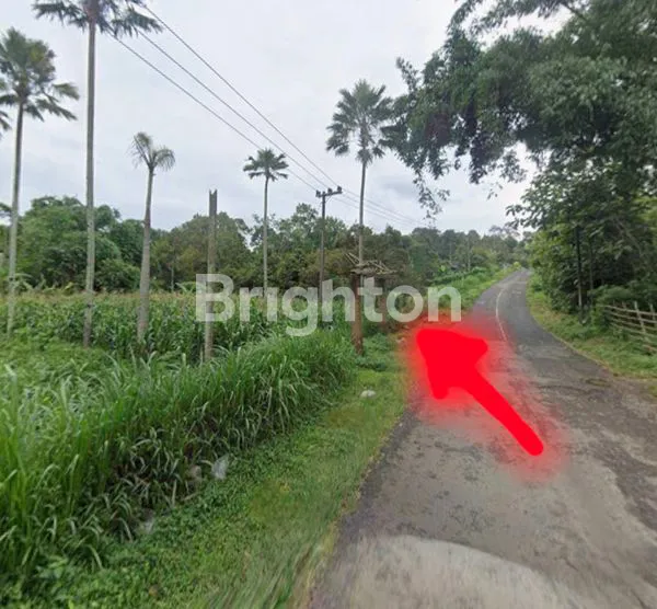 image TANAH LEBAR 40 M DI KALI PUCANG PINGGIR JALAN RAYA TUTUR PASURUAN  (2)