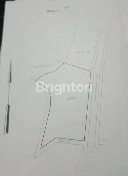 image TANAH LEBAR 40 M DI KALI PUCANG PINGGIR JALAN RAYA TUTUR PASURUAN  (3)