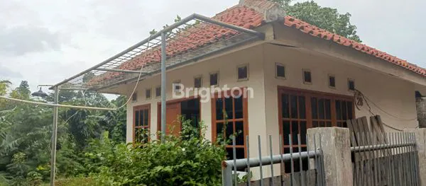 image JUAL RUMAH BINTARO SEKTOR 2 RENGAS CIPUTAT TIMUR (2)