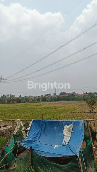 DIJUAL TANAH SAWAH PRODUKTIF