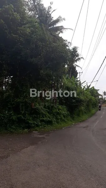 image TANAH STRATEGIS DI PINGGIRAN UBUD – LOKASI  DAN POTENSIAL (4)