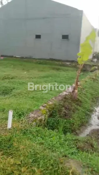 image TANAH KAVLING SAWAH DAN KEBUN MURAH PISAN CIAPUS BOGOR  (5)