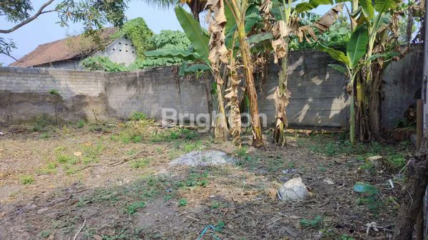 image DIJUAL RUMAH BANGUNAN DAN TANAH LUAS DI PARE (4)
