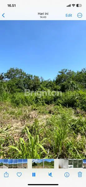 image TANAH STRATEGIS 45 ARE DI TABANAN DEKAT PANTAI (3)