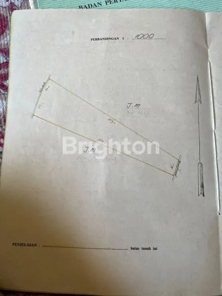 image TANAH STRATEGIS 45 ARE DI TABANAN DEKAT PANTAI (6)