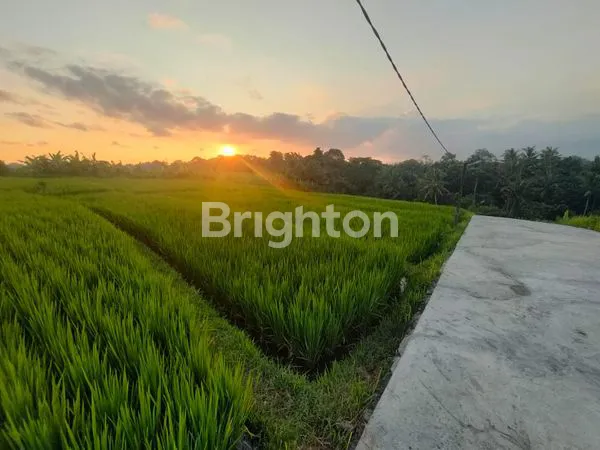 image EXCLUSIVE VILLA IN NYITDAH (8)