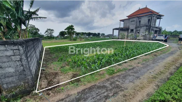 image TANAH SIAP BANGUN DEKAT PANTAI PABEAN KETEWEL, VIEW HIJAU PERSAWAHAN, SUASANA PEDESAAN DAN LAUT LEPAS (1)