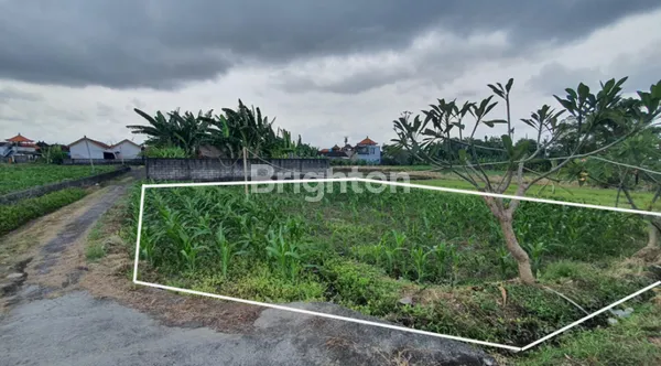image TANAH SIAP BANGUN DEKAT PANTAI PABEAN KETEWEL, VIEW HIJAU PERSAWAHAN, SUASANA PEDESAAN DAN LAUT LEPAS (2)