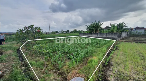 image TANAH SIAP BANGUN DEKAT PANTAI PABEAN KETEWEL, VIEW HIJAU PERSAWAHAN, SUASANA PEDESAAN DAN LAUT LEPAS (3)