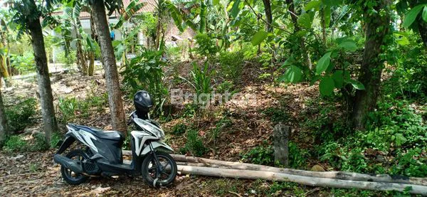 image TANAH KEBUN DI DEKAT KOMPLEK PERUMAHAN (3)