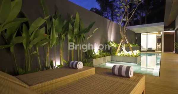 image VILLA DISEWAKAN DI UBUD HARGA PROMO (3)