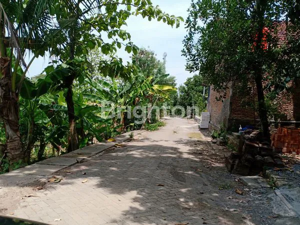 image TANAH KEBUN DI DEKAT KOMPLEK PERUMAHAN (6)