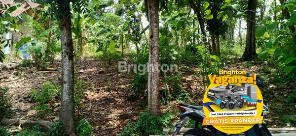 image TANAH KEBUN DI DEKAT KOMPLEK PERUMAHAN (1)