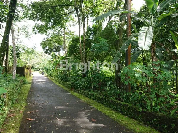 image TANAH PEKARANGAN DI KAWASAN WISATA KALIURANG (1)