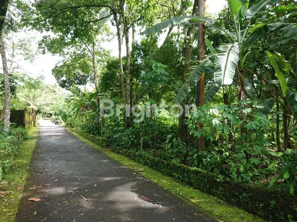 image TANAH PEKARANGAN DI KAWASAN WISATA KALIURANG (2)