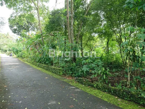 image TANAH PEKARANGAN DI KAWASAN WISATA KALIURANG (4)