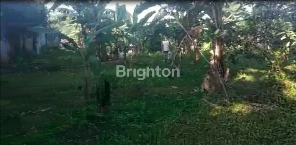 image DISEWAKAN TANAH DI BOGOR KOTA (2)