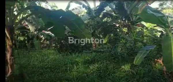 image DISEWAKAN TANAH DI BOGOR KOTA (3)