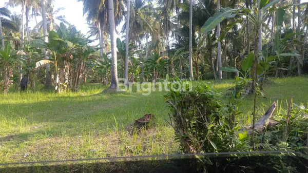 LAHAN PERKUTATAN PENGRAGOAN NEGARA JEMBRANA PERBATASAN TABANAN