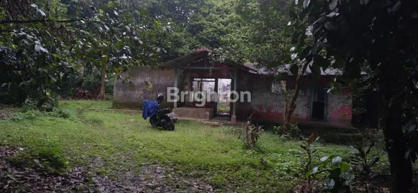 TANAH MURAH DI SUKARESMI BOGOR