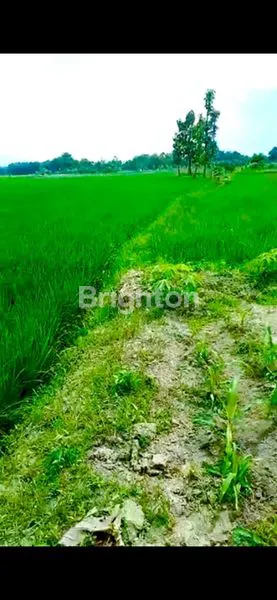 image TANAH 25 RANTE COCOK BERSAWAH/BERLADANG (1)