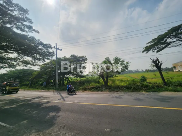 image TANAH DIJUAL RAYA MENGANTI GRESIK (1)