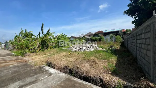 image TANAH SIAP BANGUN DI TUKAD PETANU (2)