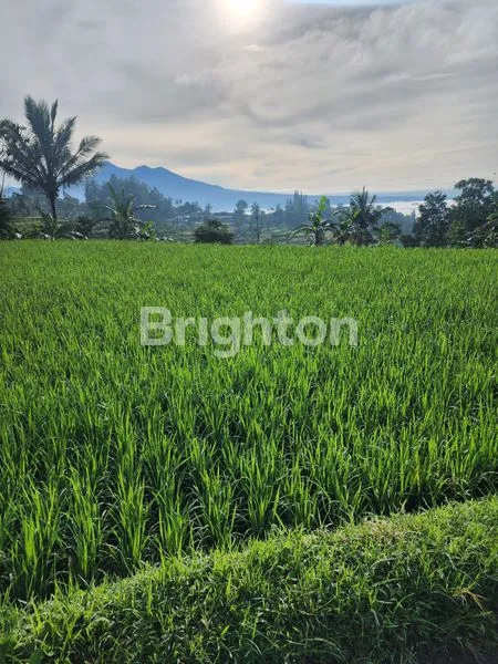 TANAH PREMIUM DIBAWAH HARGA PASAR DI SUKABUMI