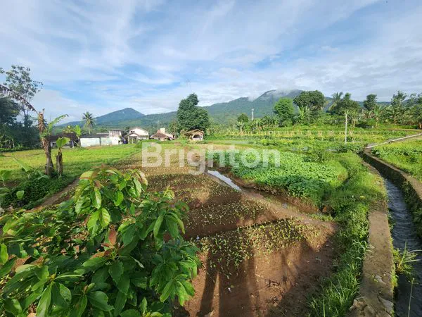 TANAH DI SUKABUMI SURGA HIDDEN GEM - UDARA PEGUNUNGAN, AIR JERNIH
