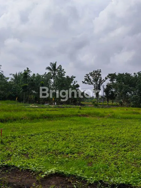 image TANAH KAVLING SUPER CANTIK VIEW SAWAH DAN PANTAI DI BELONG, TABANAN (7)