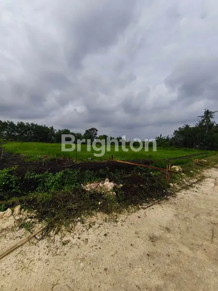 image TANAH KAVLING SUPER CANTIK VIEW SAWAH DAN PANTAI DI BELONG, TABANAN (1)