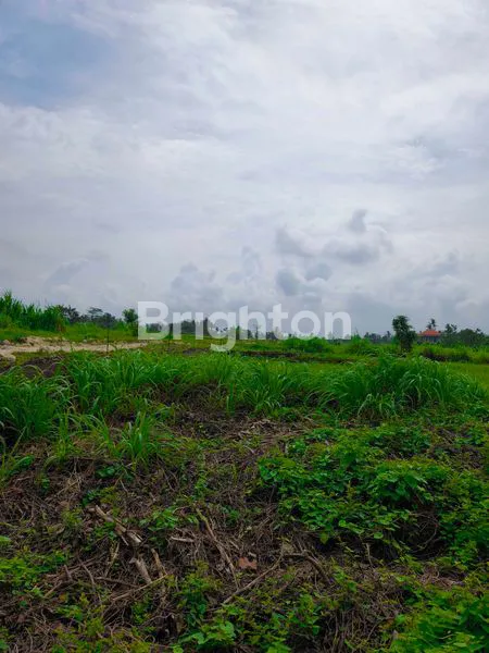image TANAH KAVLING SUPER CANTIK VIEW SAWAH DAN PANTAI DI BELONG, TABANAN (4)