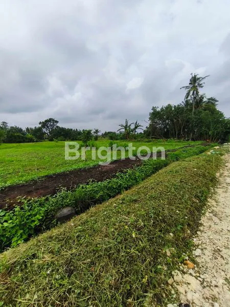 image TANAH KAVLING SUPER CANTIK VIEW SAWAH DAN PANTAI DI BELONG, TABANAN (2)