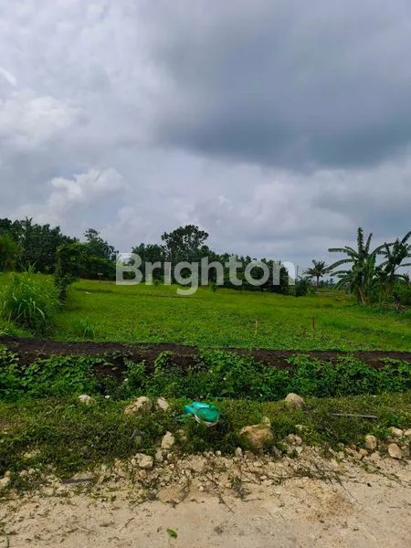 image TANAH KAVLING SUPER CANTIK VIEW SAWAH DAN PANTAI DI BELONG, TABANAN (5)
