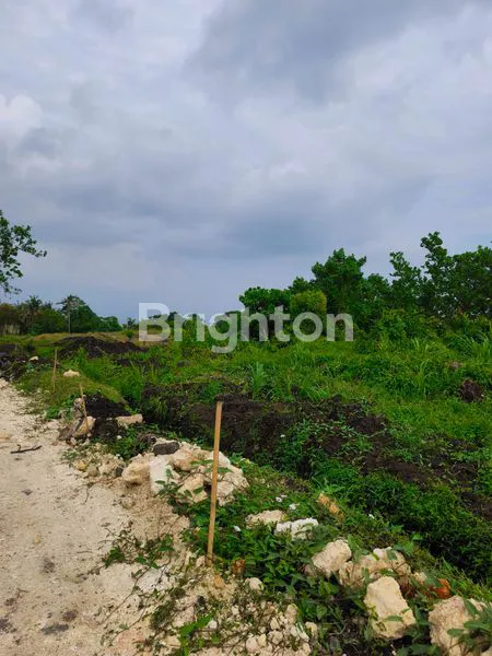 image TANAH KAVLING SUPER CANTIK VIEW SAWAH DAN PANTAI DI BELONG, TABANAN (8)