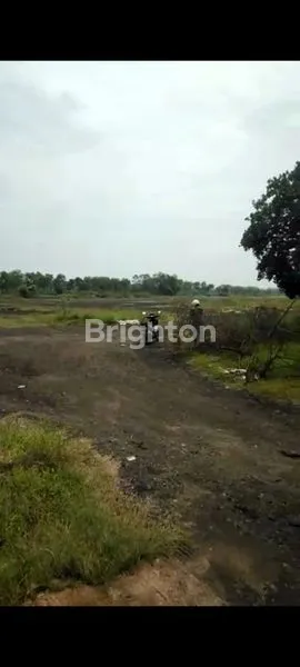 JUAL TANAH INDUSTRI GENDING PROBOLINGGO