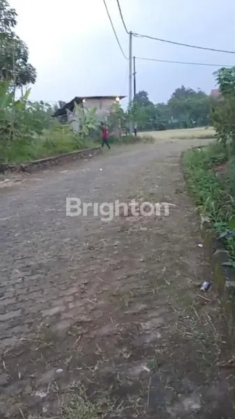 image TANAH MURAH MERIAH 3000 METER SENTUL CITEUREUP BOGOR (5)