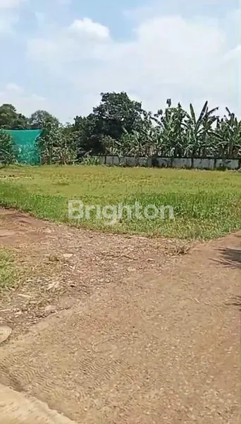 image TANAH MURAH MERIAH LUAS 1500 CITEUREUP BOGOR (1)