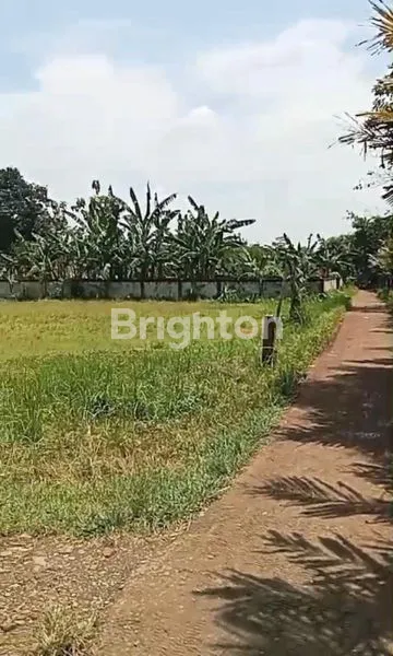 image TANAH MURAH MERIAH LUAS 1500 CITEUREUP BOGOR (4)