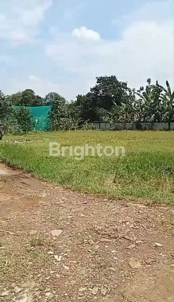 image TANAH MURAH MERIAH LUAS 1500 CITEUREUP BOGOR (3)