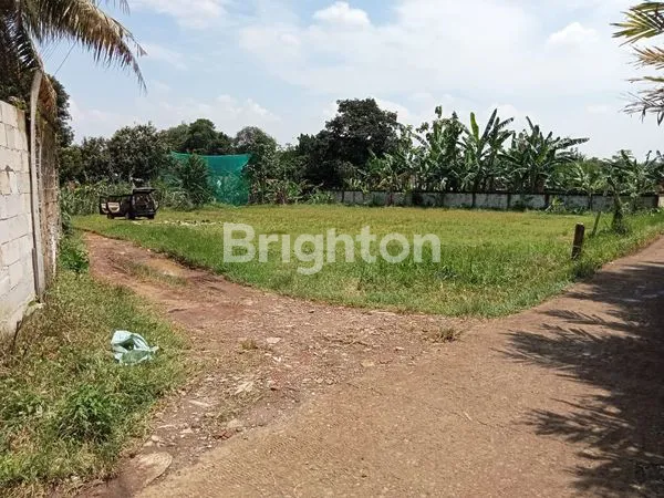 image TANAH MURAH MERIAH LUAS 1500 CITEUREUP BOGOR (7)