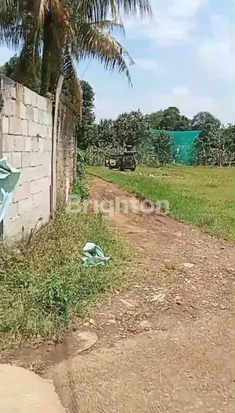 image TANAH MURAH MERIAH LUAS 1500 CITEUREUP BOGOR (2)