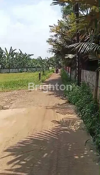 image TANAH MURAH MERIAH LUAS 1500 CITEUREUP BOGOR (5)